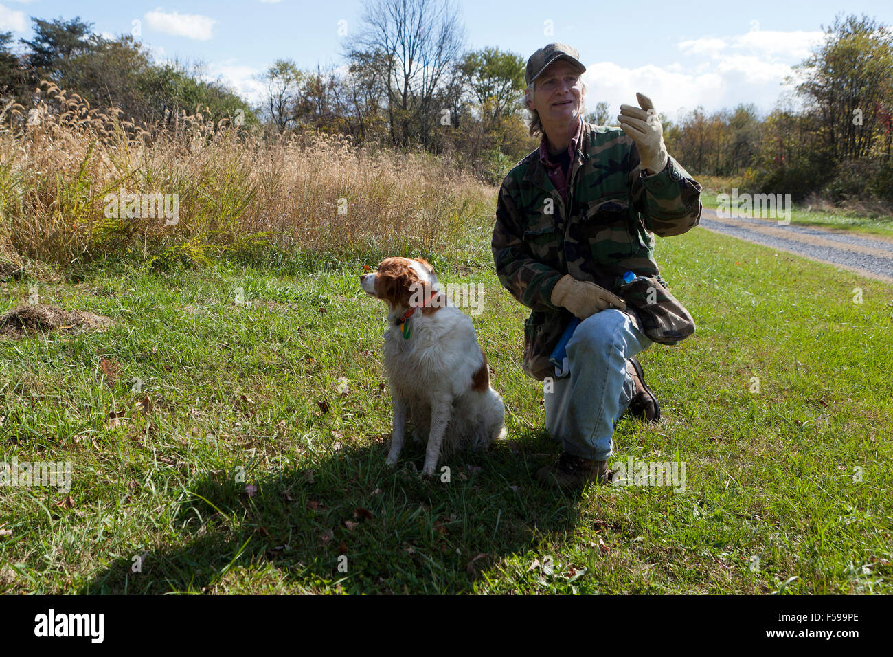 Epagneul Breton seduto accanto al proprietario della Pennsylvania - USA Foto Stock