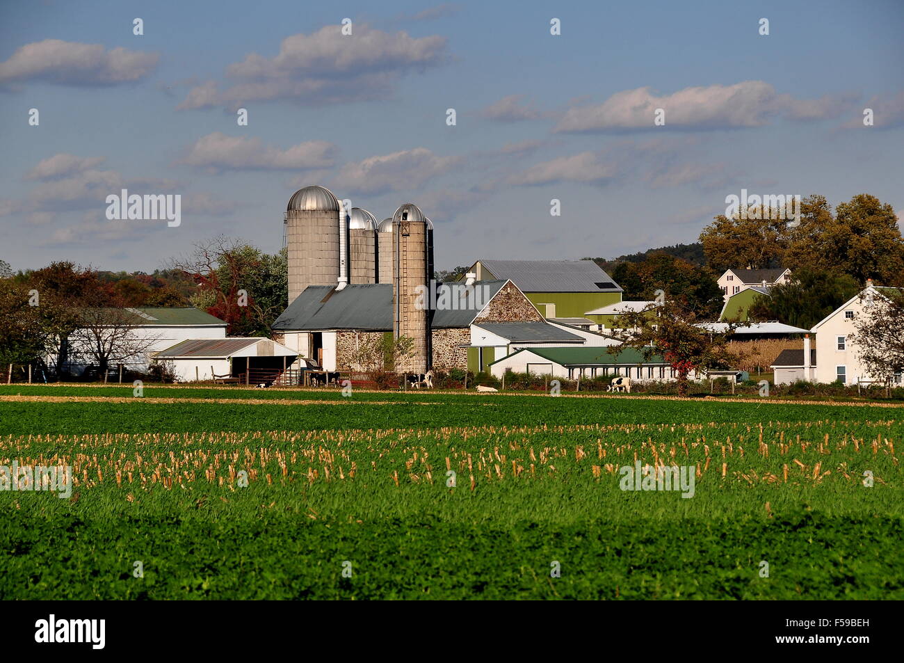 Lancaster County, Pennsylvania: fattoria Amish complesso con casa colonica, granai e silos Foto Stock