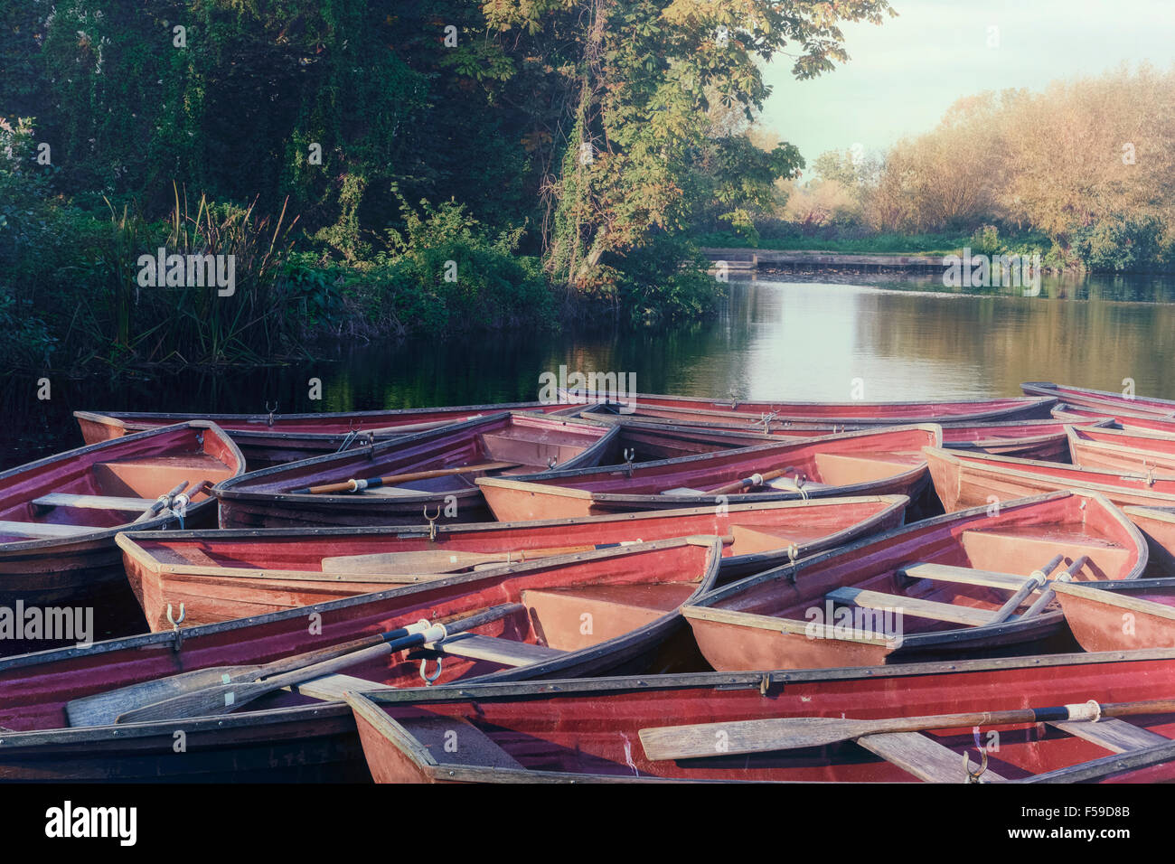 Barche a remi ormeggiate sulle sponde di un lago. Foto Stock