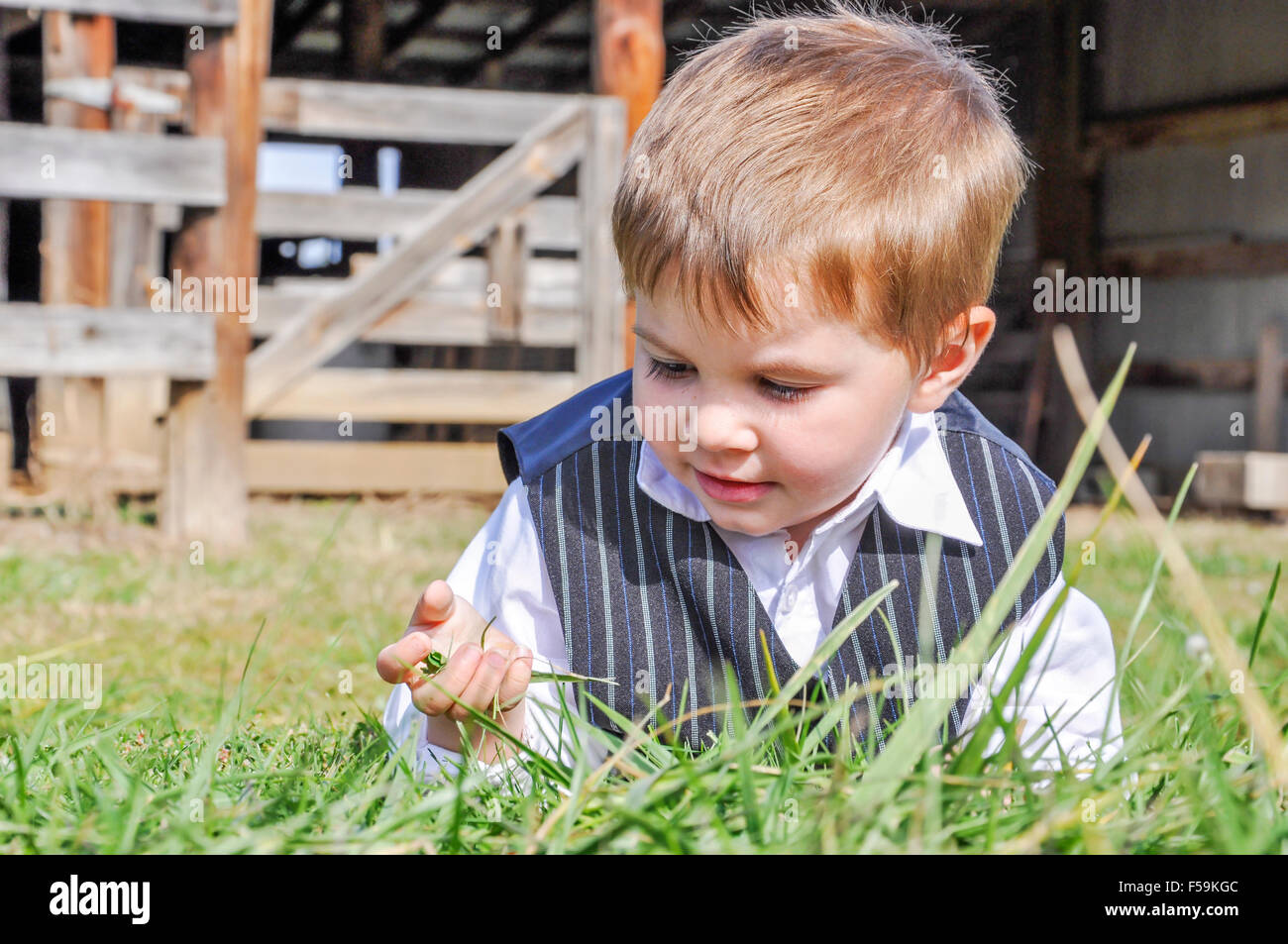 Ragazzo che stabilisce in erba in agriturismo Foto Stock Ragazzo che stabilisce in erba in agriturismo Foto Stock