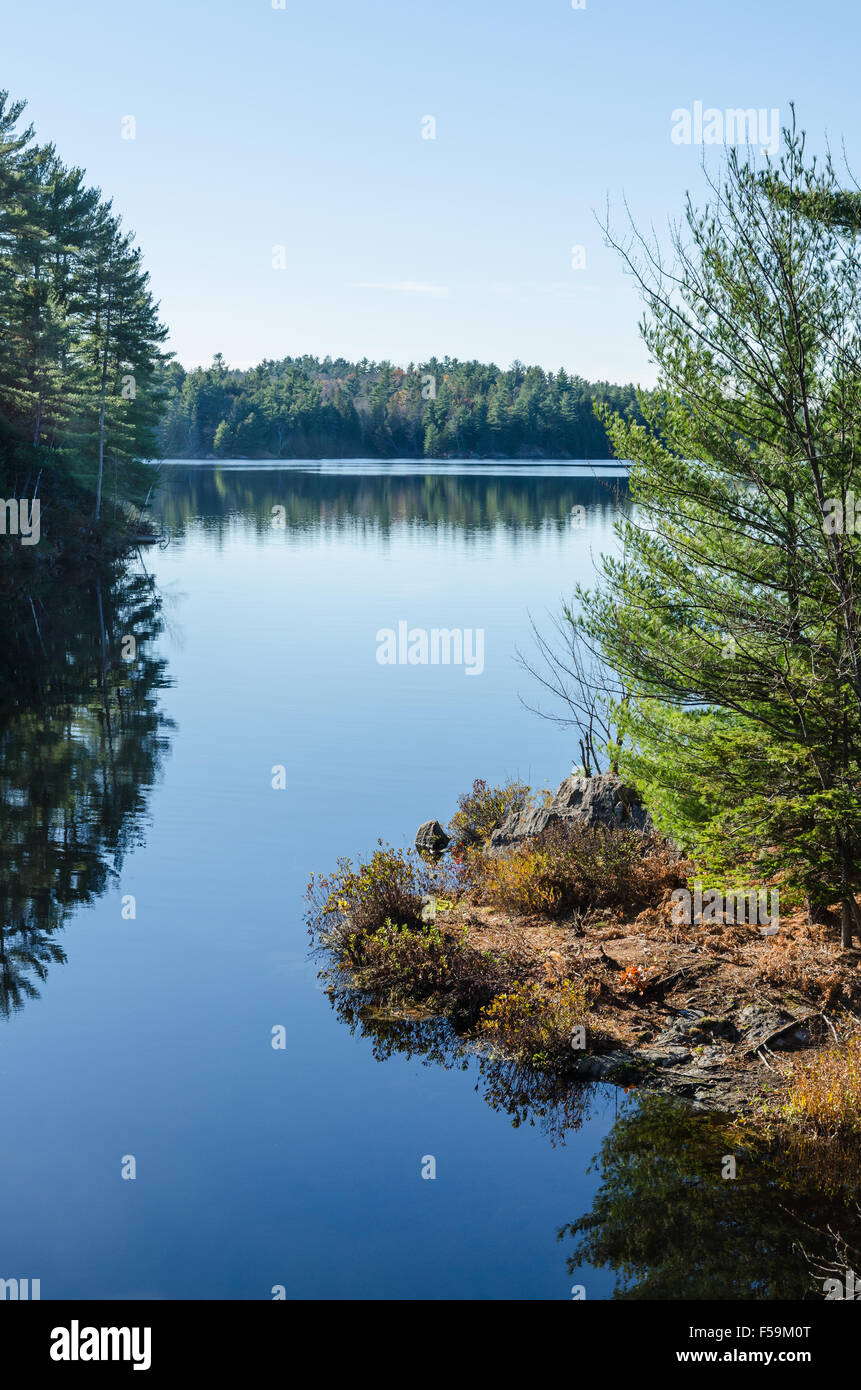 Lago di foresta in Killarney Park durante la stagione autunnale Foto Stock