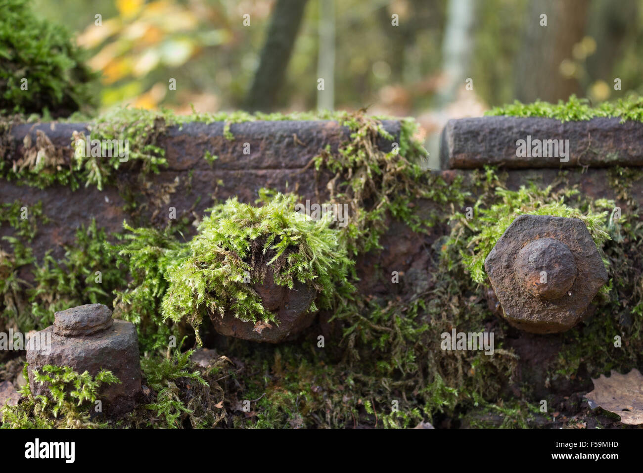 Il muschio verde sulla ferrovia via - incolto binari Foto Stock