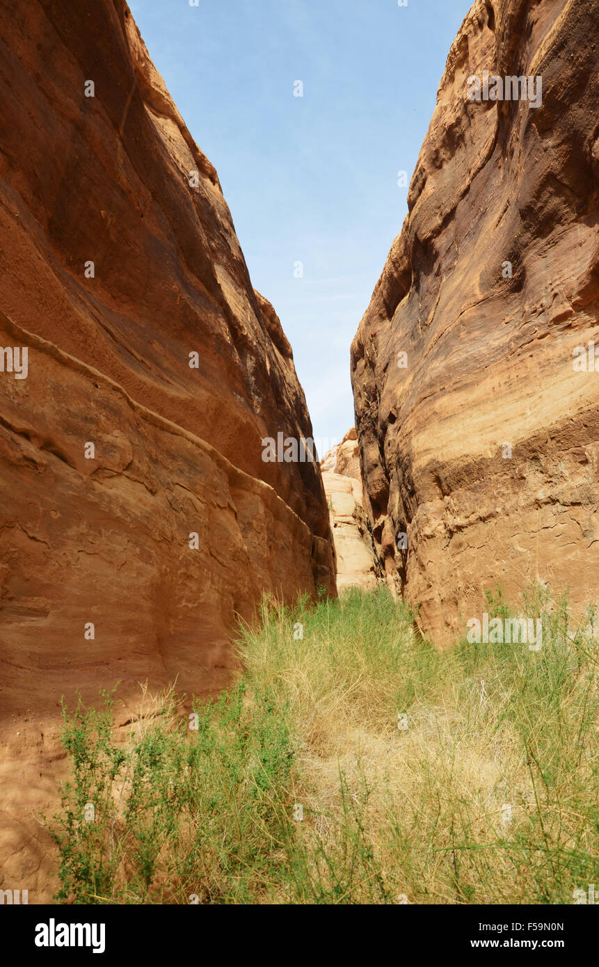 Rocce Rosse canyon nel deserto paesaggio , la natura Foto Stock