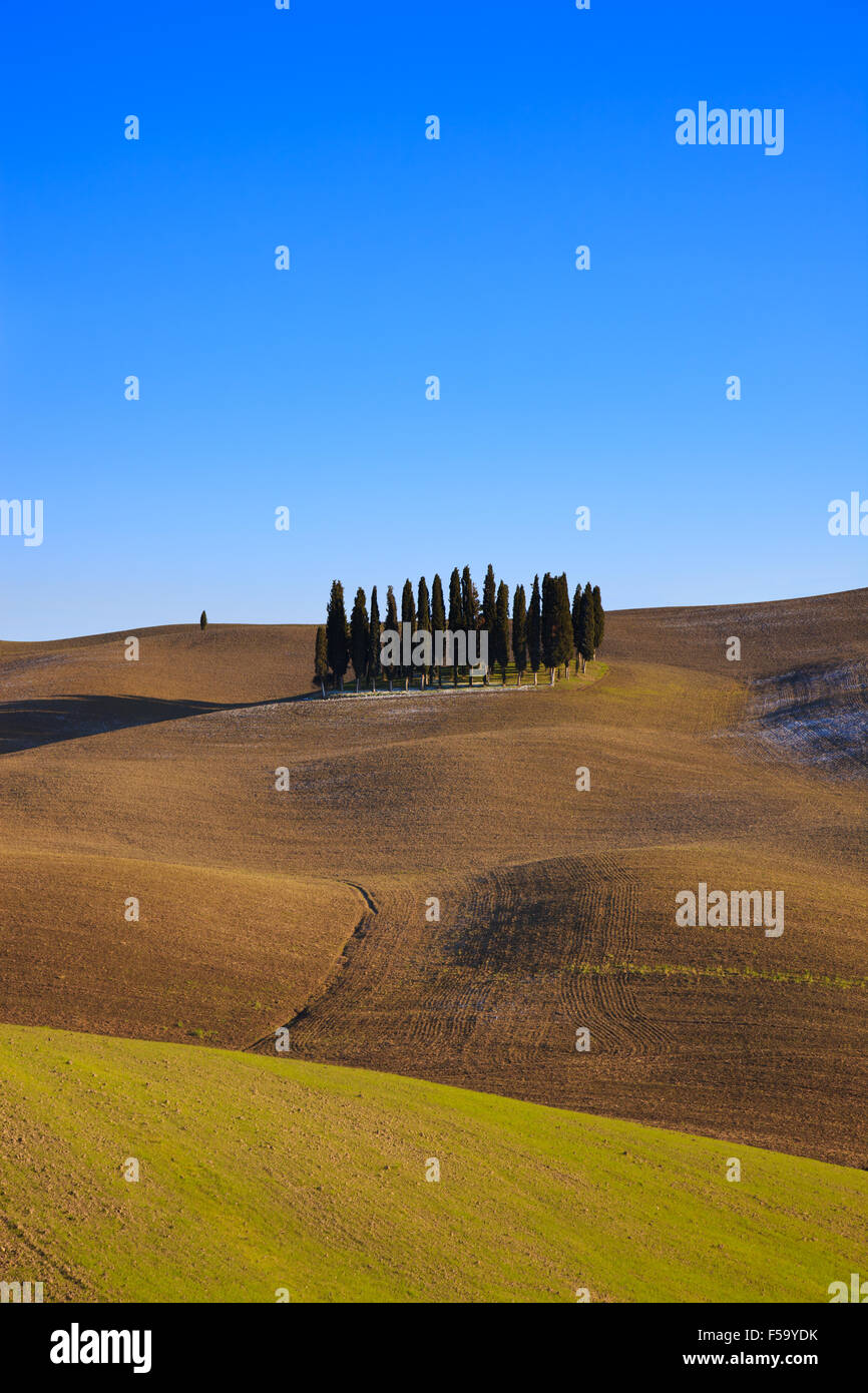 Toscana alberi di cipresso. Questo tipico paesaggio si trova nei pressi di San Quirico Val d'Orcia, Siena, Toscana, Italia. Questa fotografia in Foto Stock