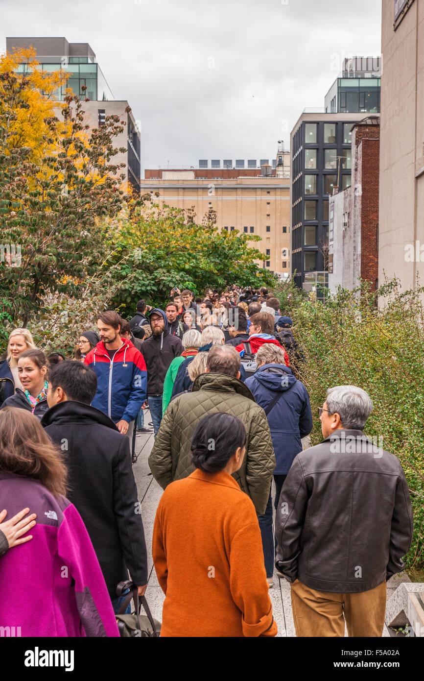 La linea alta park, un parco elevata e la passerella costruita sul vecchio viadotto ferroviario in Chelsea,Manhattan,New York City, Stati Uniti Foto Stock