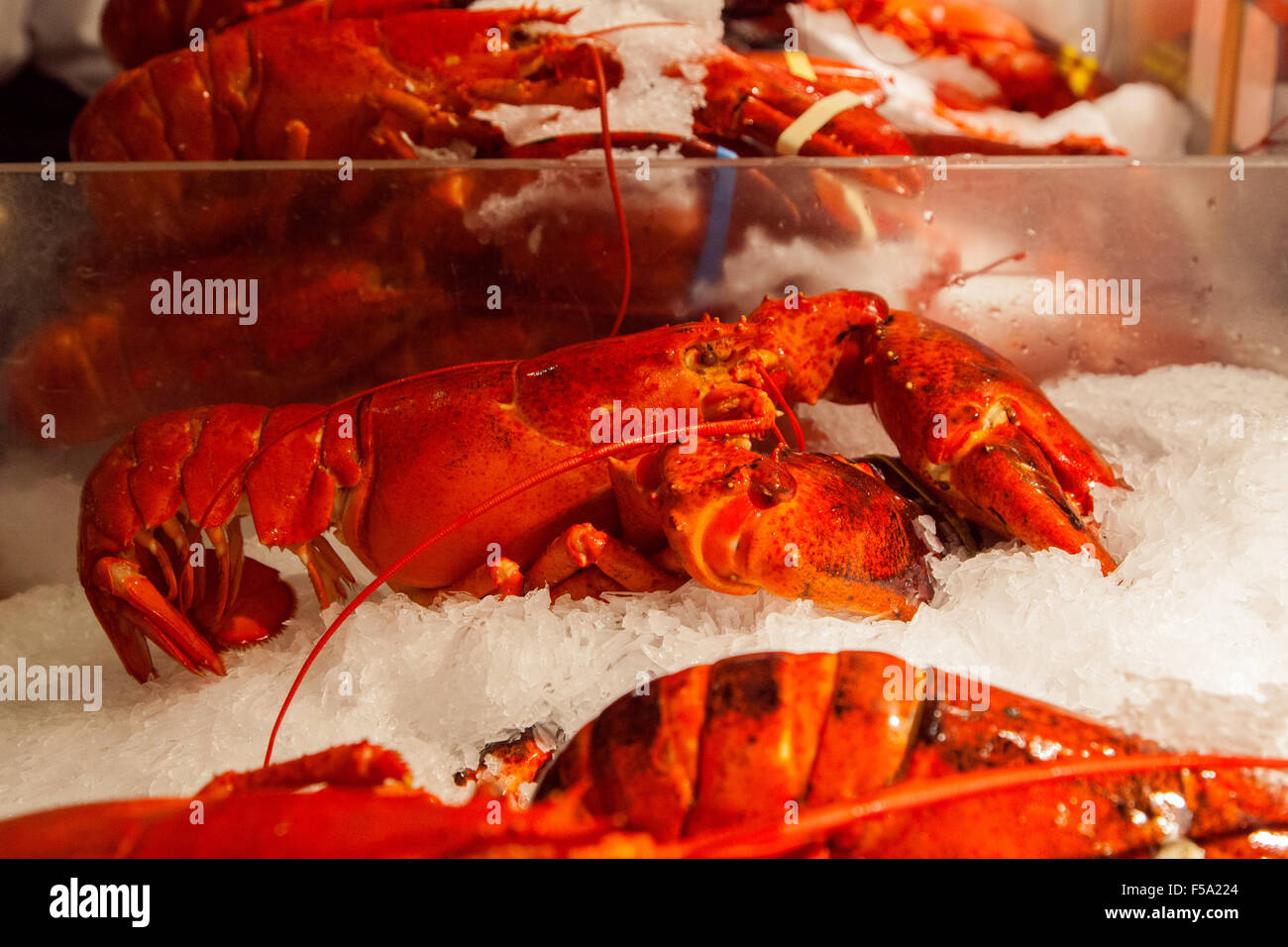 Cotti Interi Scampi al posto di astice di frutti di mare, mercato, Chelsea mercato alimentare, New York City, Stati Uniti d'America. Foto Stock