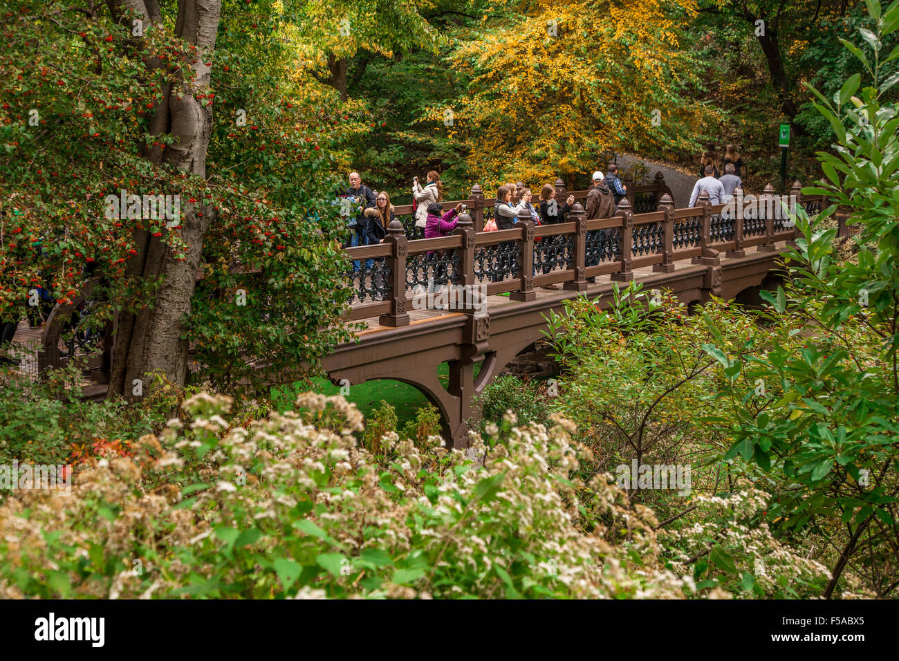 Ponte in legno di quercia, Banca Rock Bay nel Central Park di New York City, Stati Uniti d'America. Foto Stock