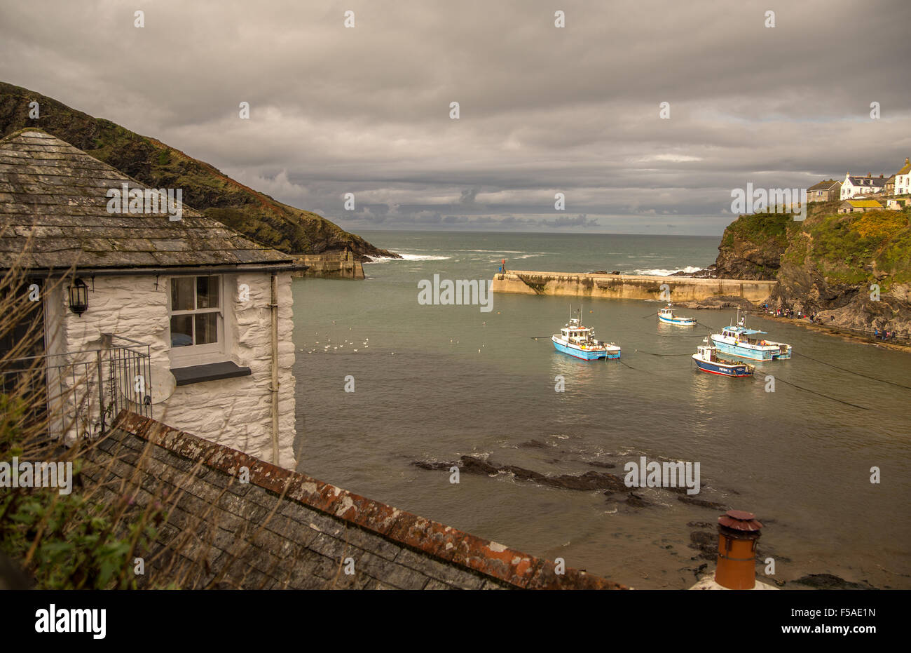Tetti e pareti dipinte di bianco a Port Isaac, Cornwall. Foto Stock