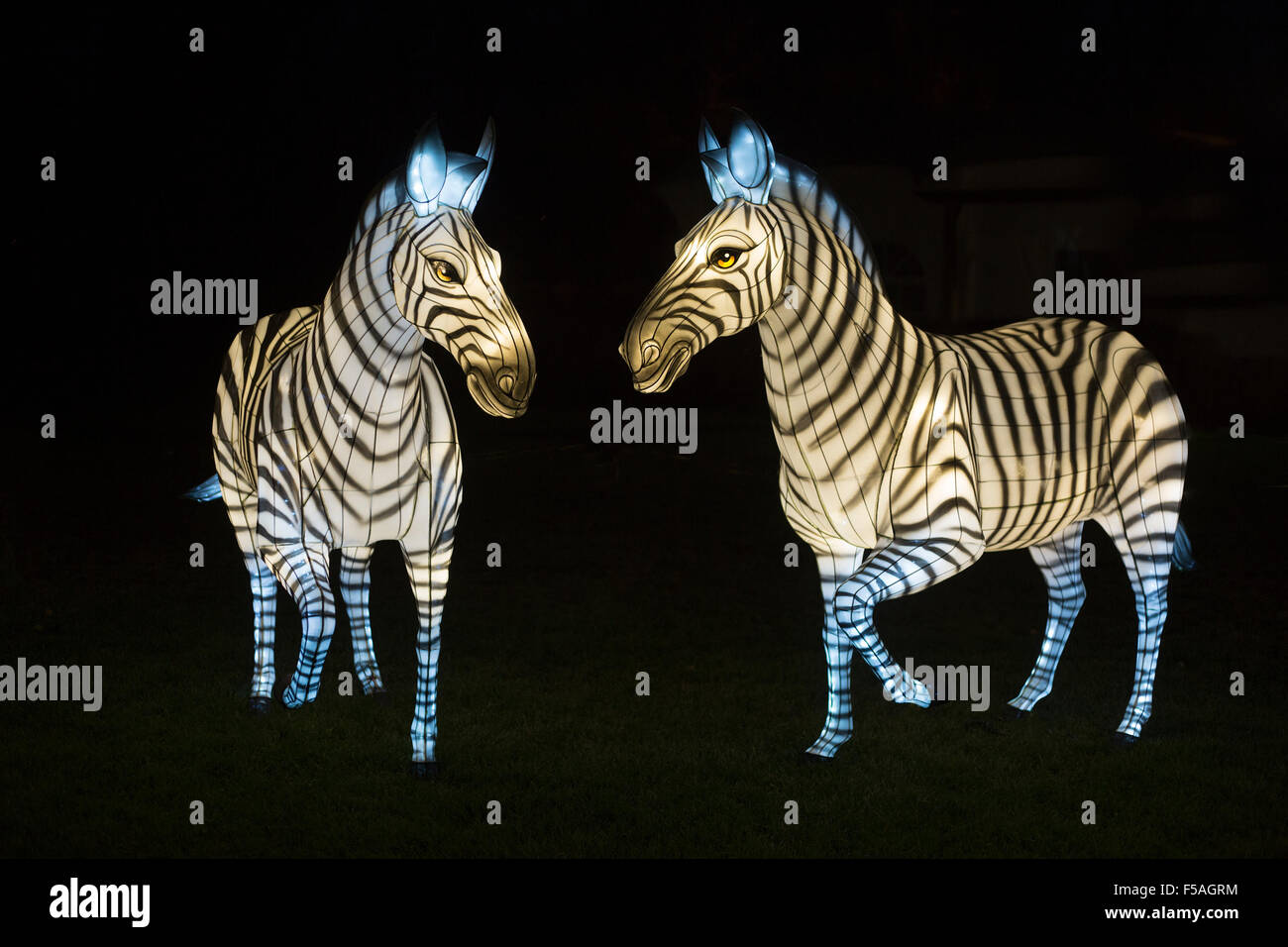 Lanterne Zebra al Festival delle Lanterne di Illuminasia, fatte a mano da artigiani, alimentate da luci a LED a basso consumo energetico Foto Stock