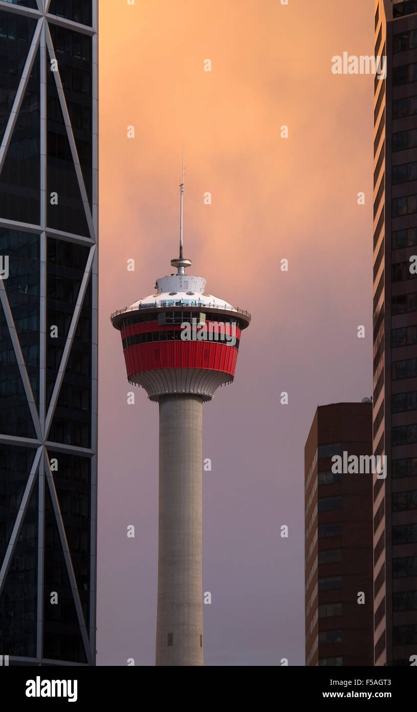 Calgary Tower circondato da edifici del centro Foto Stock