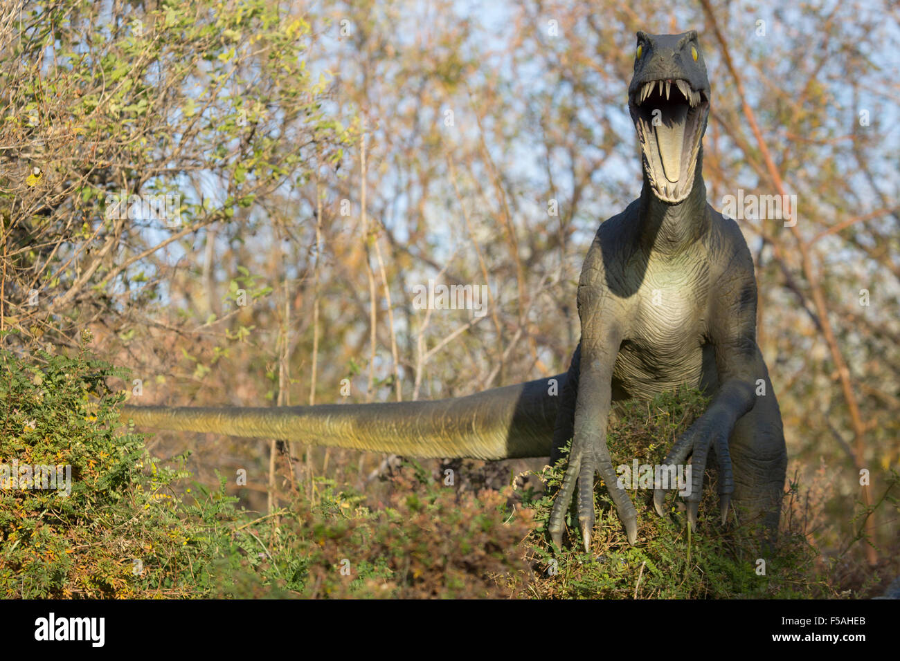 Modello velociraptor animato con bocca aperta che emerge da alberi in un parco preistorico Foto Stock