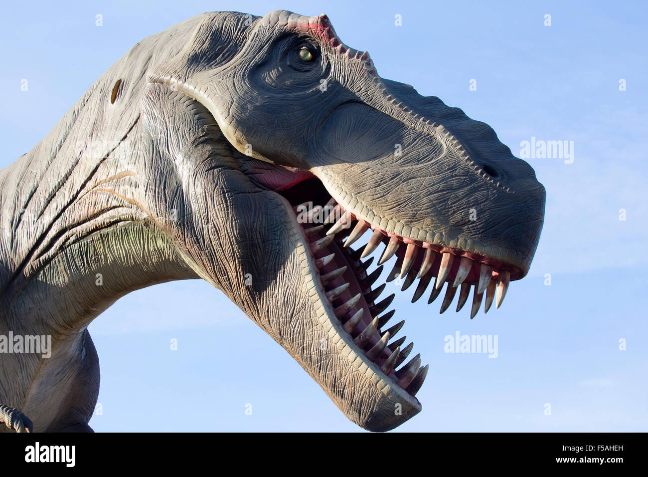 Modello di dinosauro Allosaurus in un parco preistorico con bocca aperta che mostra denti Foto Stock