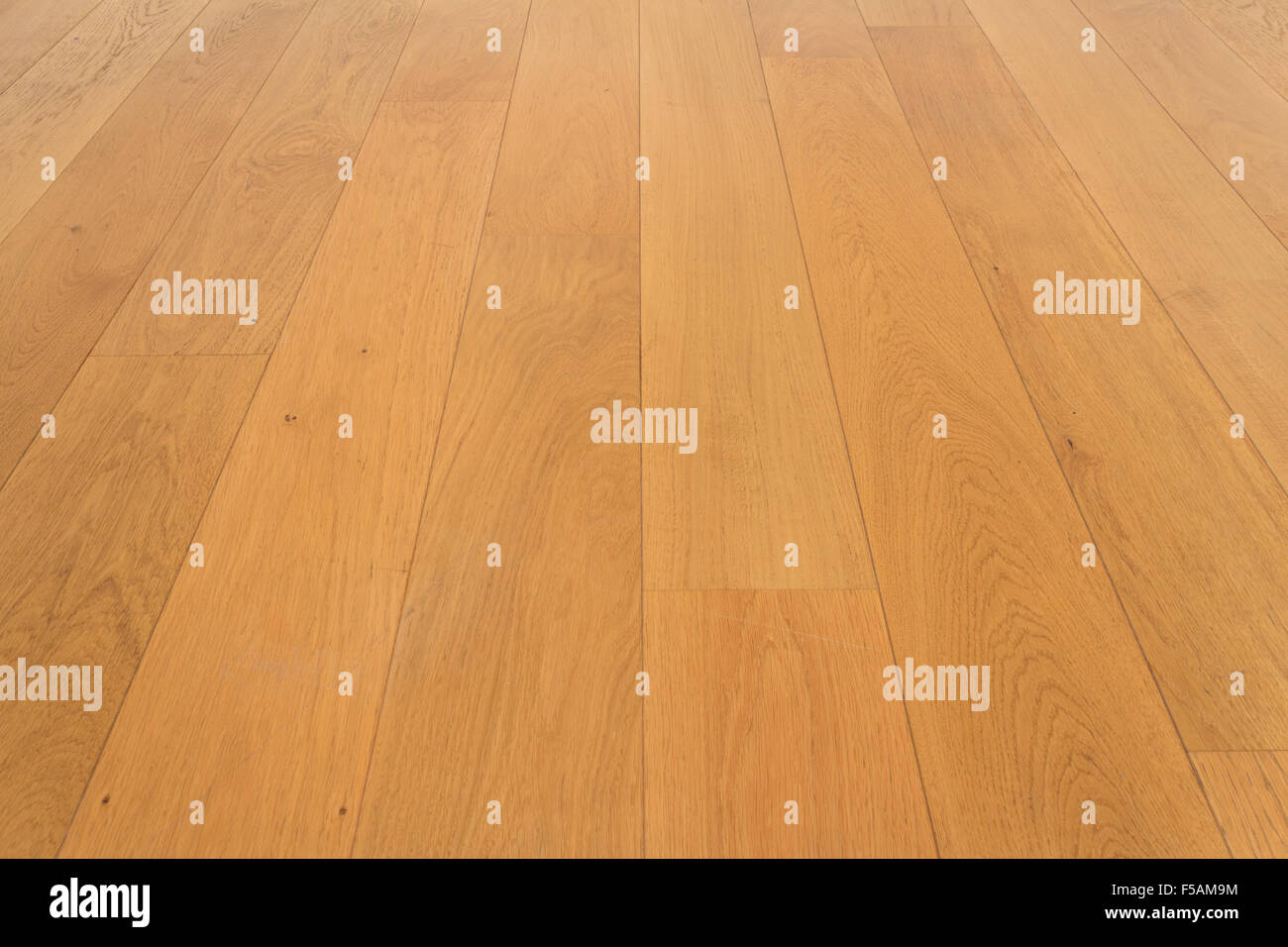 Pavimento in legno, rovere Parquet - pavimento in legno di rovere, laminato, Foto Stock