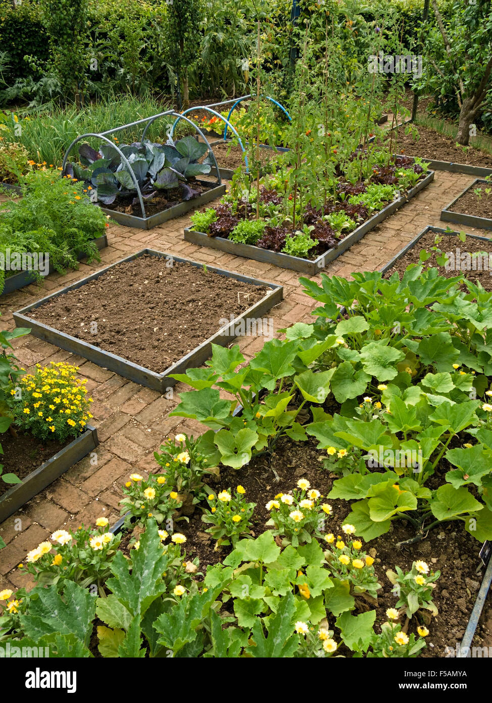 Orto Parterre Cottage con piccoli letti rialzati e sentieri pavimentati in mattoni, Barnsdale Gardens, Rutland, Inghilterra, Regno Unito. Foto Stock