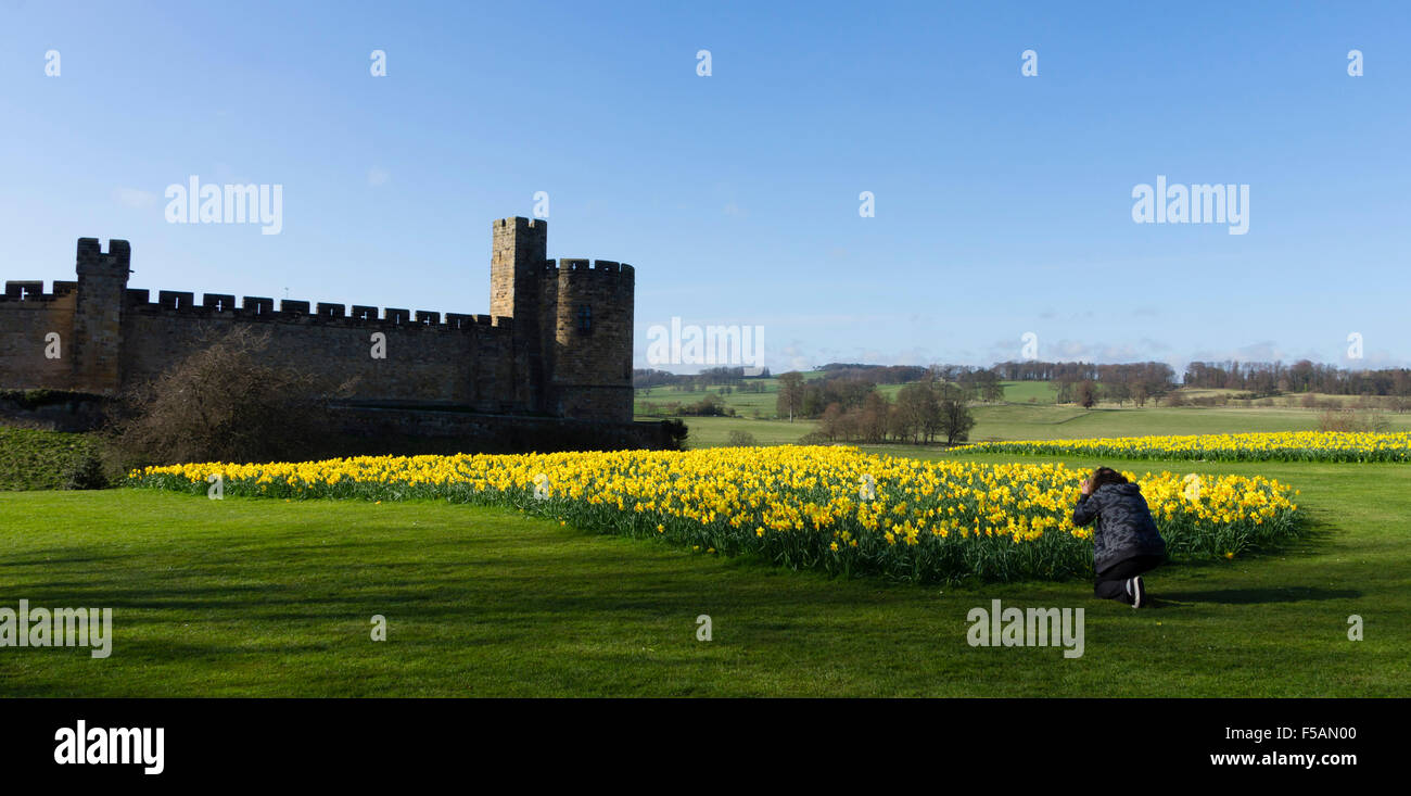 Alnwick Castle, Northumberland, Regno Unito. Foto Stock