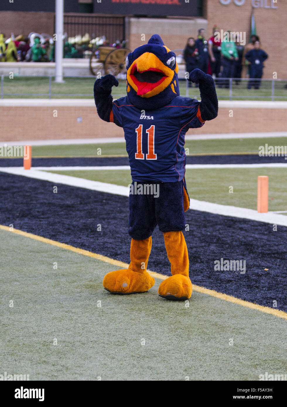 Denton, Texas, Stati Uniti d'America. 31 ott 2015. Ottobre 31, 2015: UTSA Roadrunners mascotte durante il NCAA Football gioco tra il UTSA Roadrunners e UNT significa verde a Apogee Stadium di Denton, Texas. JP Waldron/ZumaPress © Jp Waldron/ZUMA filo/Alamy Live News Foto Stock