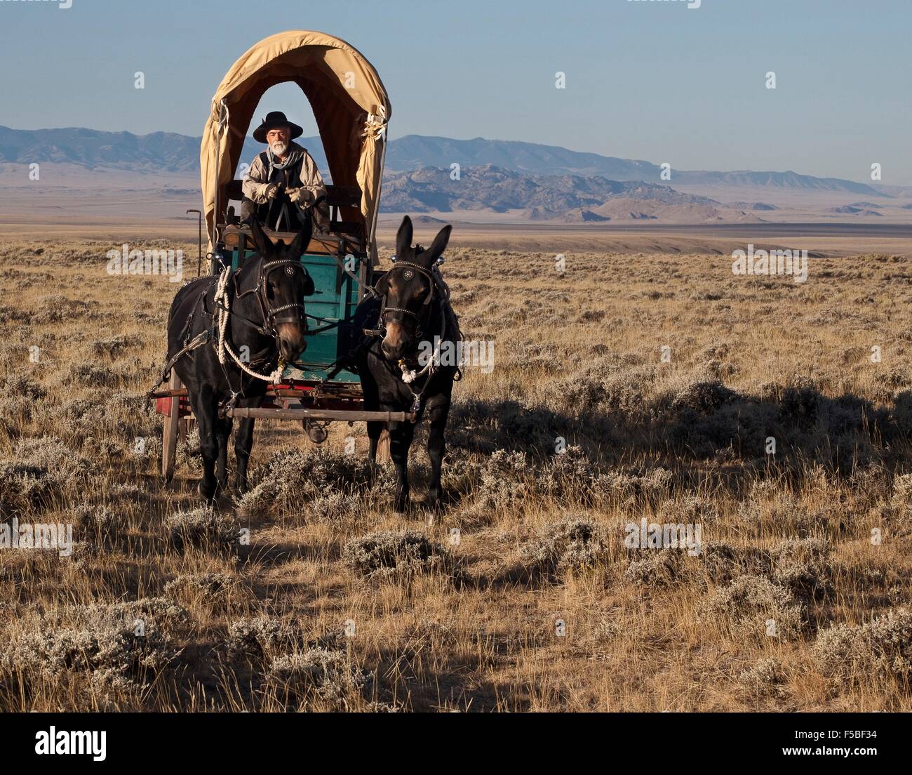 Uno storico attore interpretative reinterpreta un vagone treno per dimostrare come primi pionieri vissuto sulla Oregon Trail presso il National Historic Oregon Trail Interpretive Center il 30 settembre 2010 in Baker City, Oregon. Foto Stock