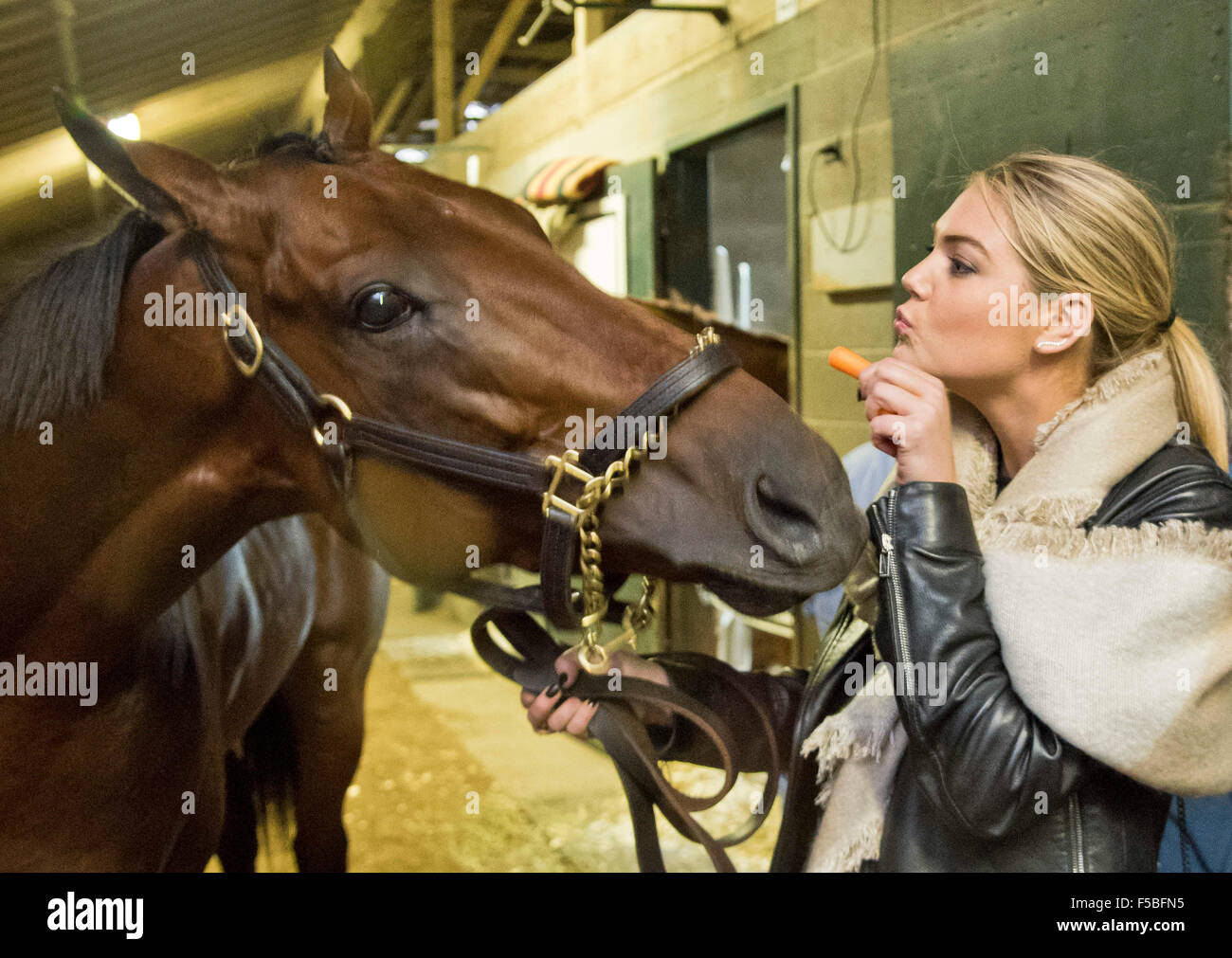 Lexington, Kentucky, Stati Uniti d'America. 31 ott 2015. Ottobre 31, 2015 : Scott Serio/ESW/CSM/Alamy Live News Foto Stock