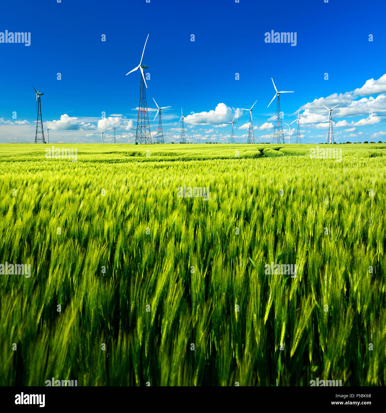 Le turbine eoliche in campo di orzo in primavera, cielo blu con nuvole cumulus, Burgenlandkreis, Sassonia-Anhalt, Germania Foto Stock