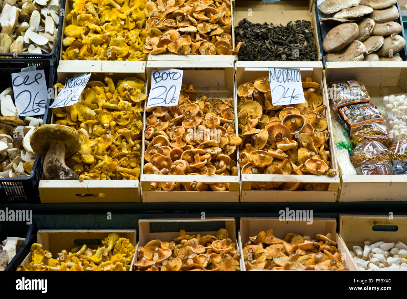 Bancarella vendendo i funghi nel mercato La Boqueria Barcellona Catalonia Spagna ES Foto Stock