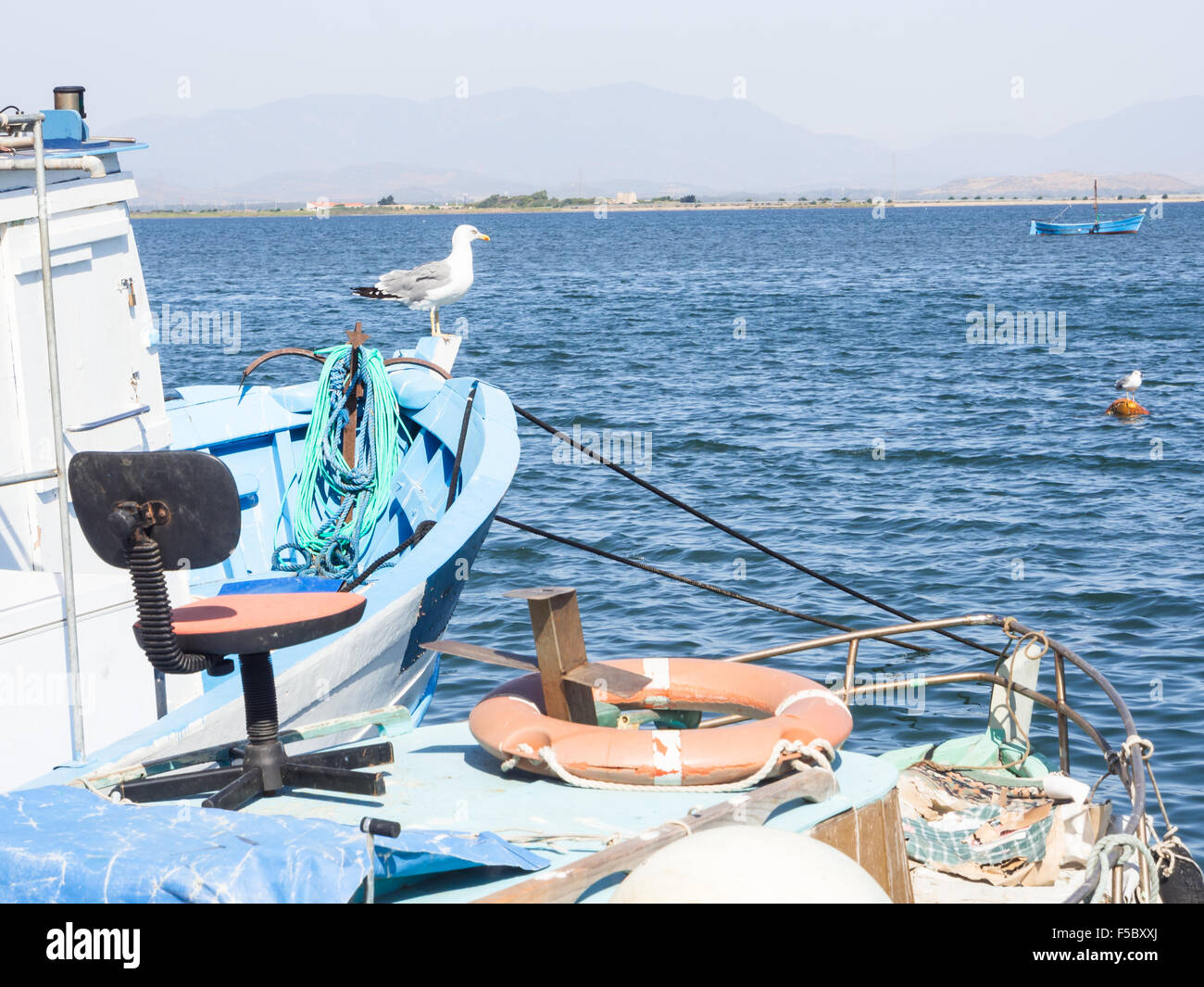 Seagull sedia barca. Curiosità immagine con seagull e sedia su Fisherman's boat Foto Stock