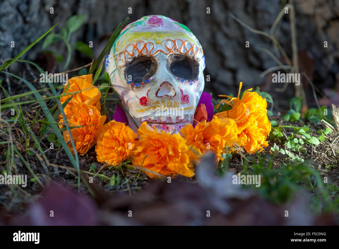 Colorate ceramiche dipinte cranio, il giorno dei morti (Dia de los Muertos), Praga, Repubblica Ceca Foto Stock