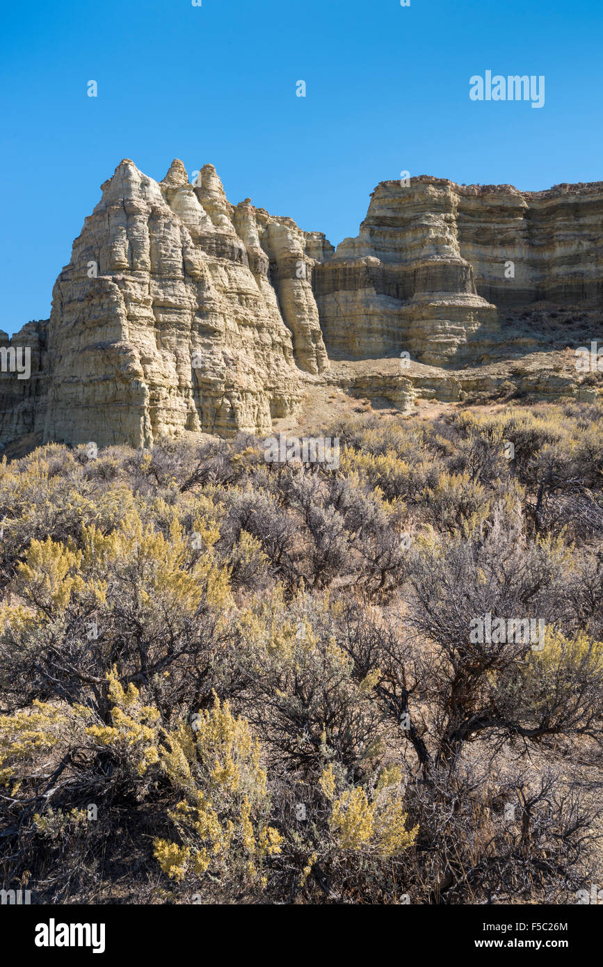 Pilastri di Roma formazione di roccia, Valle del Giordano, sud-est di Oregon. Foto Stock