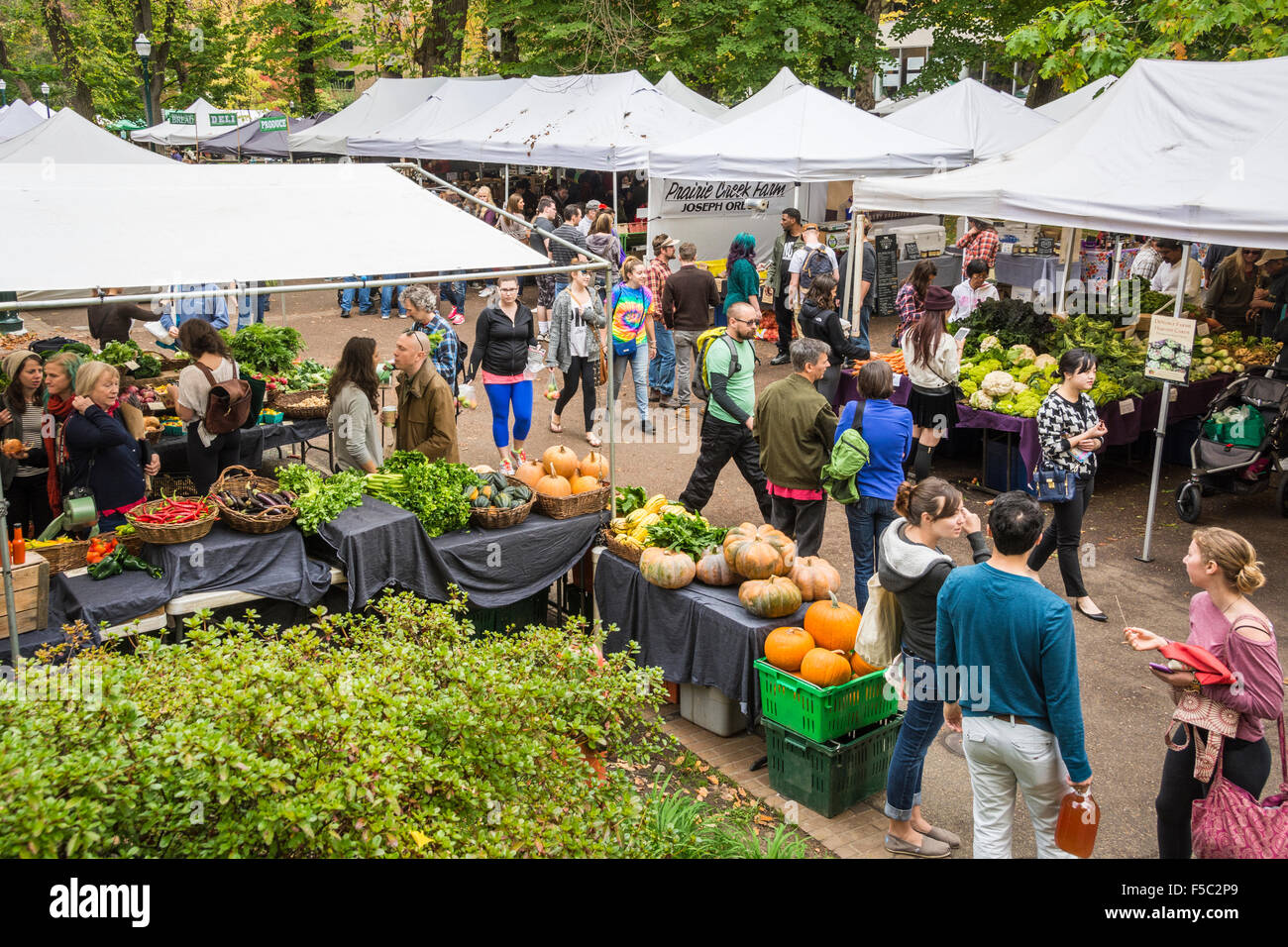 Mercato Agricolo sul parco dei blocchi a Portland State University in Downtown Portland, Oregon. Foto Stock