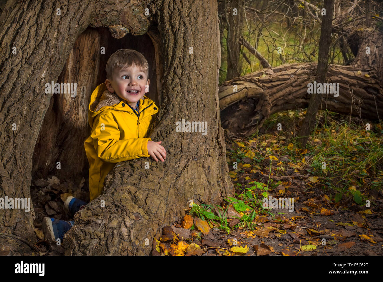 Piccolo bambino che gioca in una foresta di autunno Foto Stock