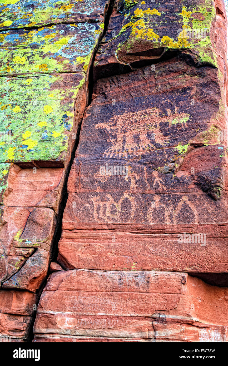 Primo piano immagine di petroglifi indiani su una parete di roccia nei pressi di pioppi neri americani, Arizona Foto Stock