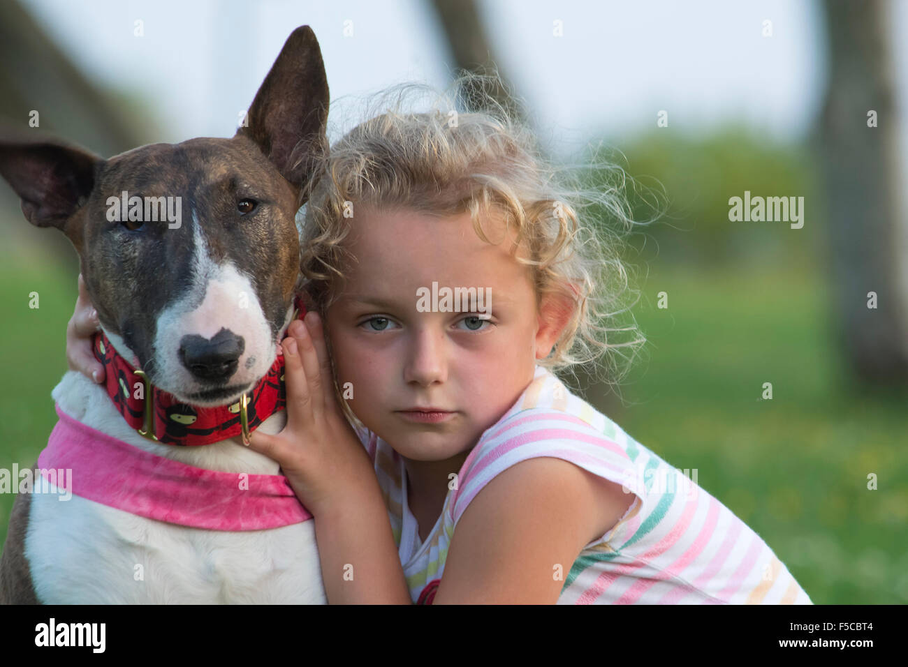 Bambino biondo con un bull terrier Foto Stock