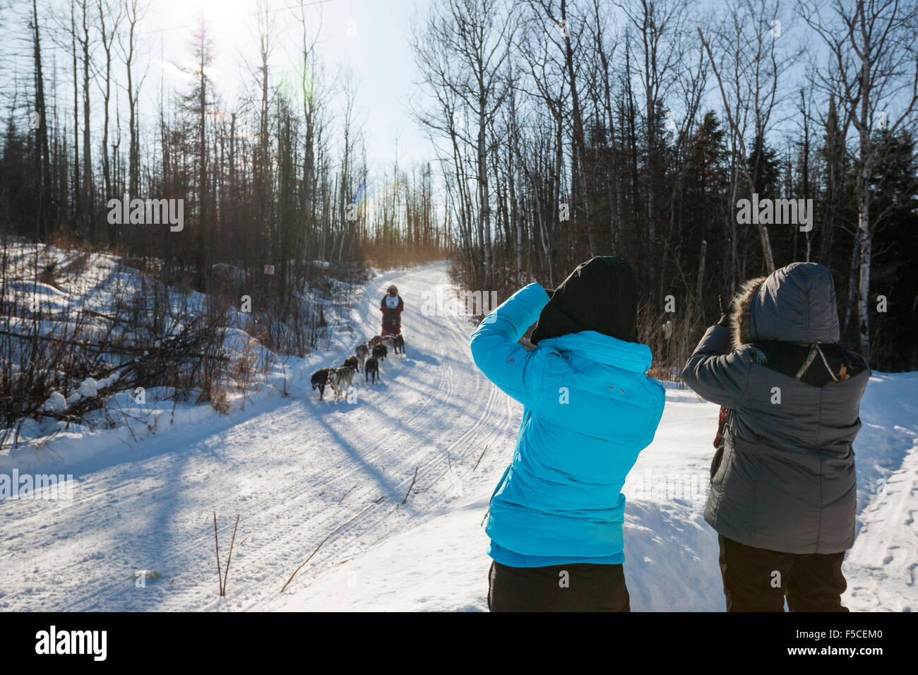 Due donne fotografia un musher portando il suo team di cani husky giù per una collina nevoso durante il lupo annuale Track Classic Sled Dog rac Foto Stock