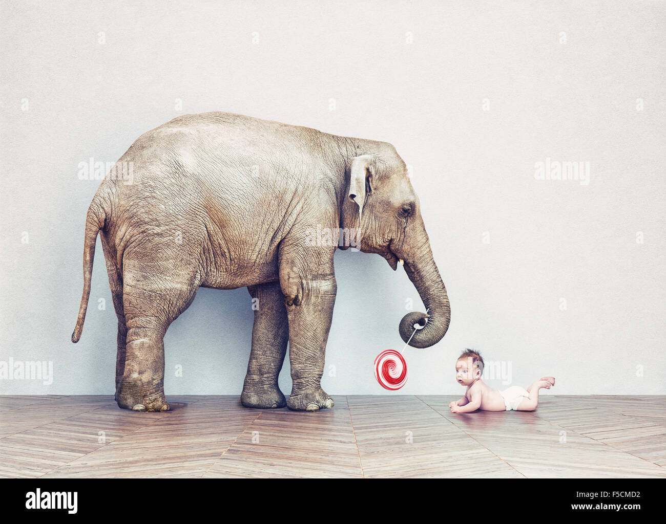 Baby Elephant e uomo bambino in una stanza vuota. Foto il concetto di combinazione Foto Stock
