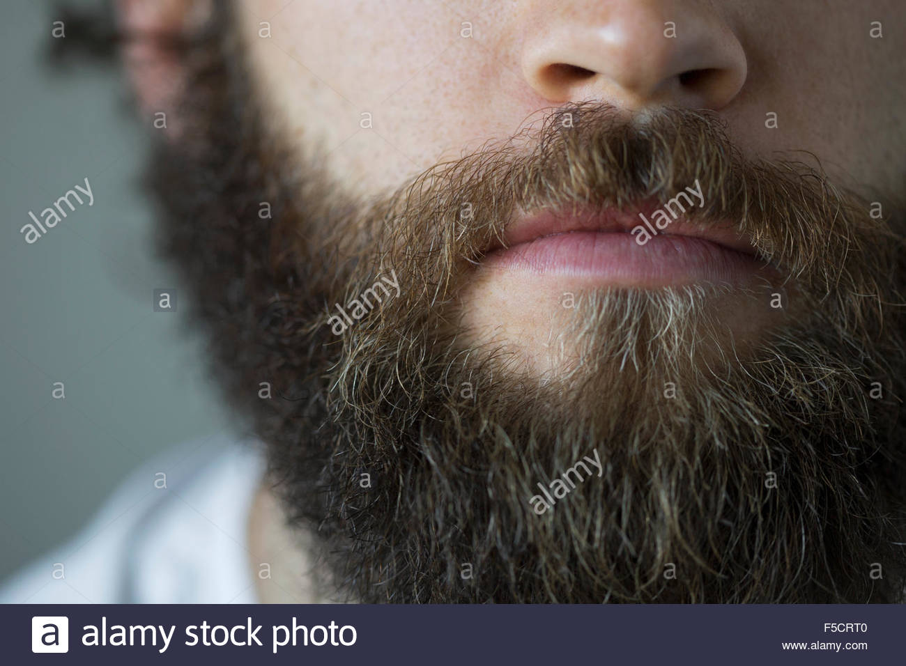 Close up brunette barba Foto Stock