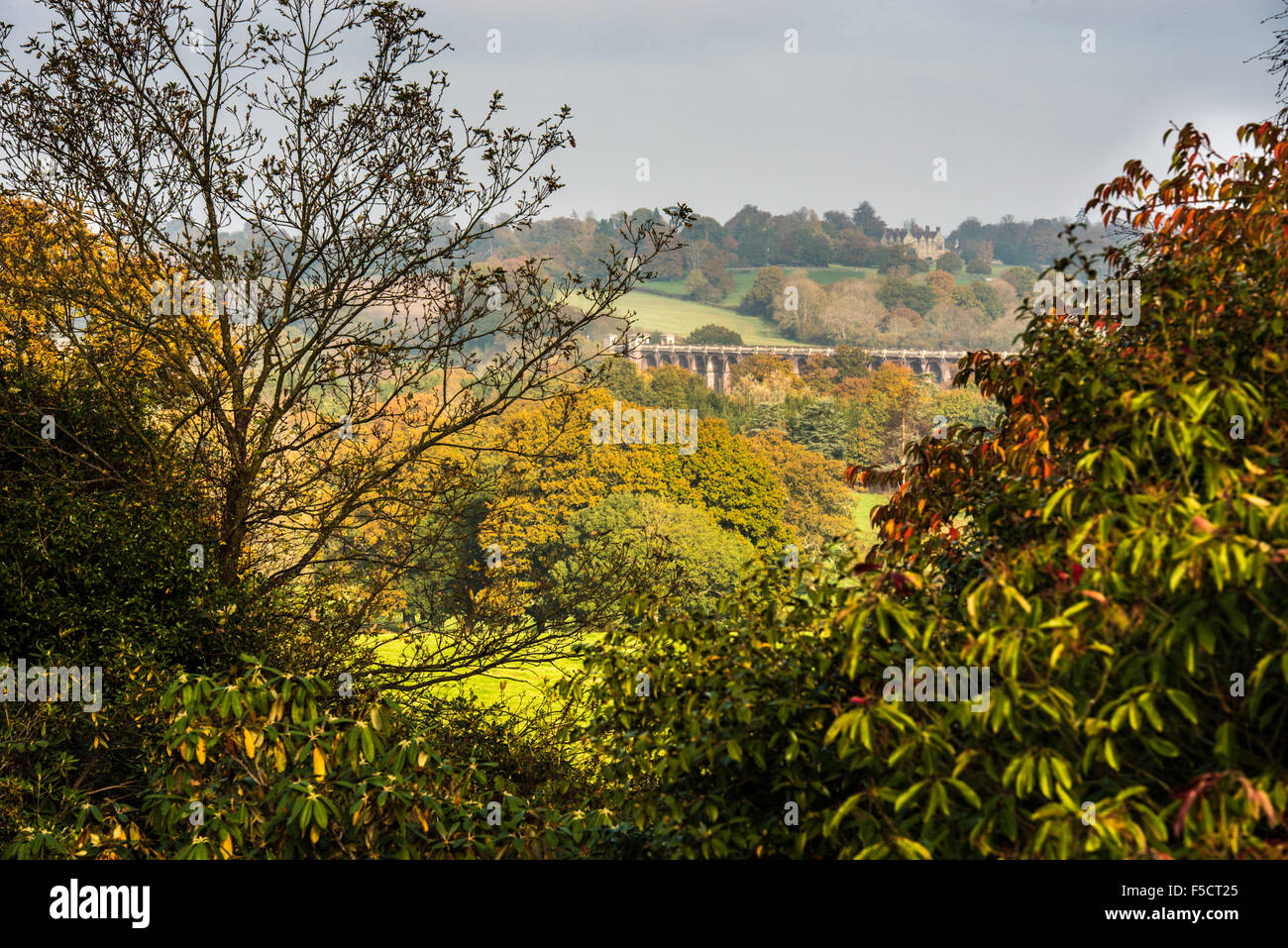 Colore di autunno vista verso la valle di Ouse viadotto da Borde Hill Garden Foto ©Julia Claxton Foto Stock