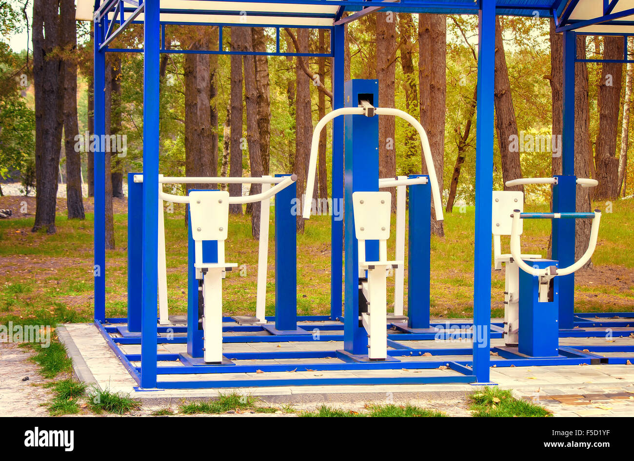 In una radura tra gli alberi vi è un parco giochi attrezzato con varie attrezzature sportive per la formazione. Foto Stock