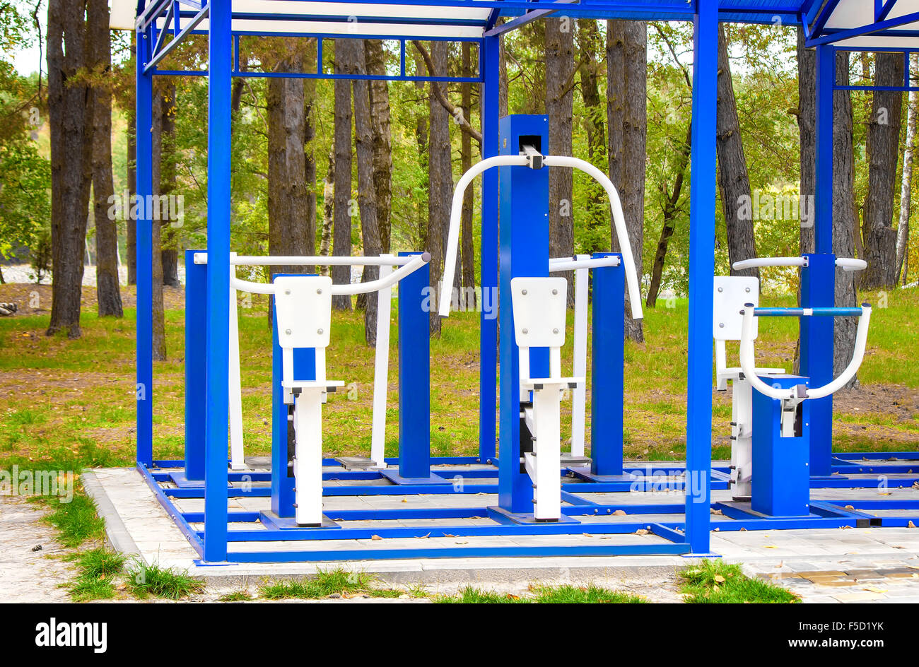 In una radura tra gli alberi vi è un parco giochi attrezzato con varie attrezzature sportive per la formazione. Foto Stock