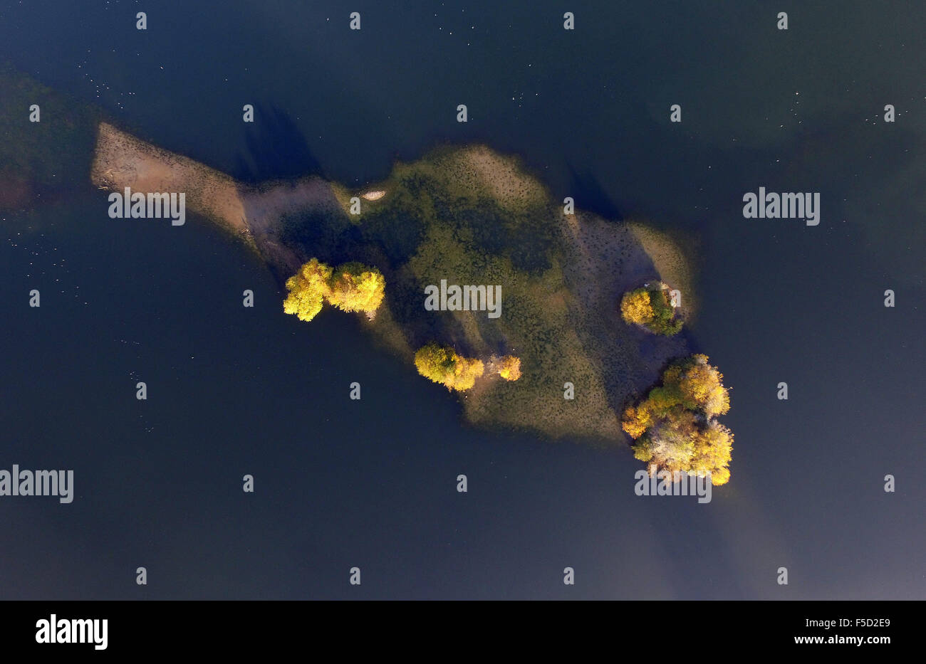 In autunno gli alberi di supporto su una piccola isola in un stagno di cava a Colonia, Germania, 02 novembre 2015. Foto: HENNING KAISER/dpa Foto Stock