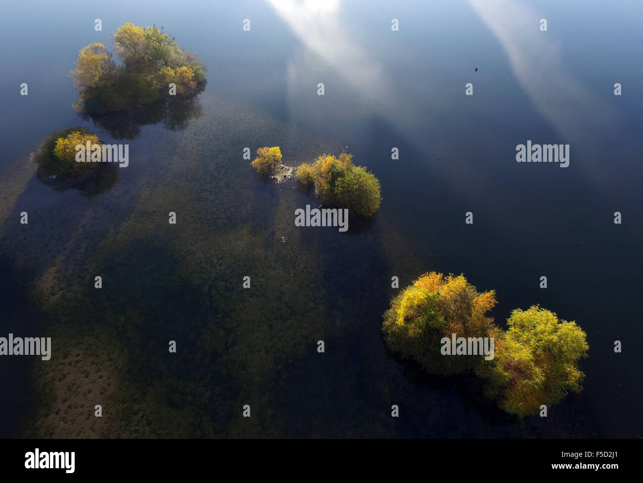 Alberi di autunno stand su piccole isole in un stagno di cava a Colonia, Germania, 02 novembre 2015. Foto: HENNING KAISER/dpa Foto Stock