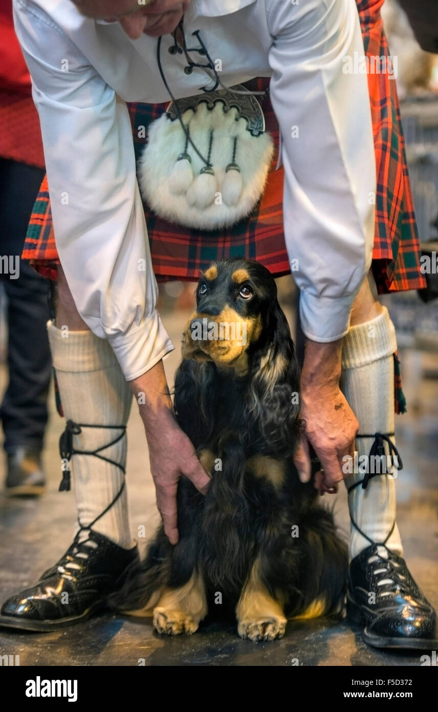 Il Crufts dog show al NEC di Birmingham - Colin fiori da Boness in Scozia con il suo Cocker Spaniel Foto Stock