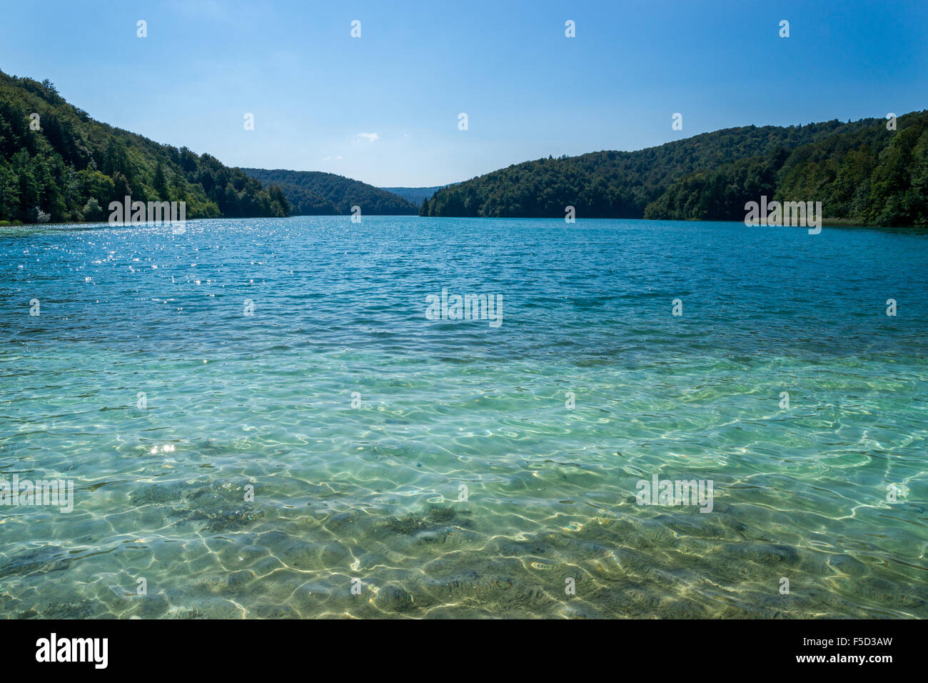 Crave (o scrub) Lago presso il Parco Nazionale di Plitvice in Croazia Foto Stock