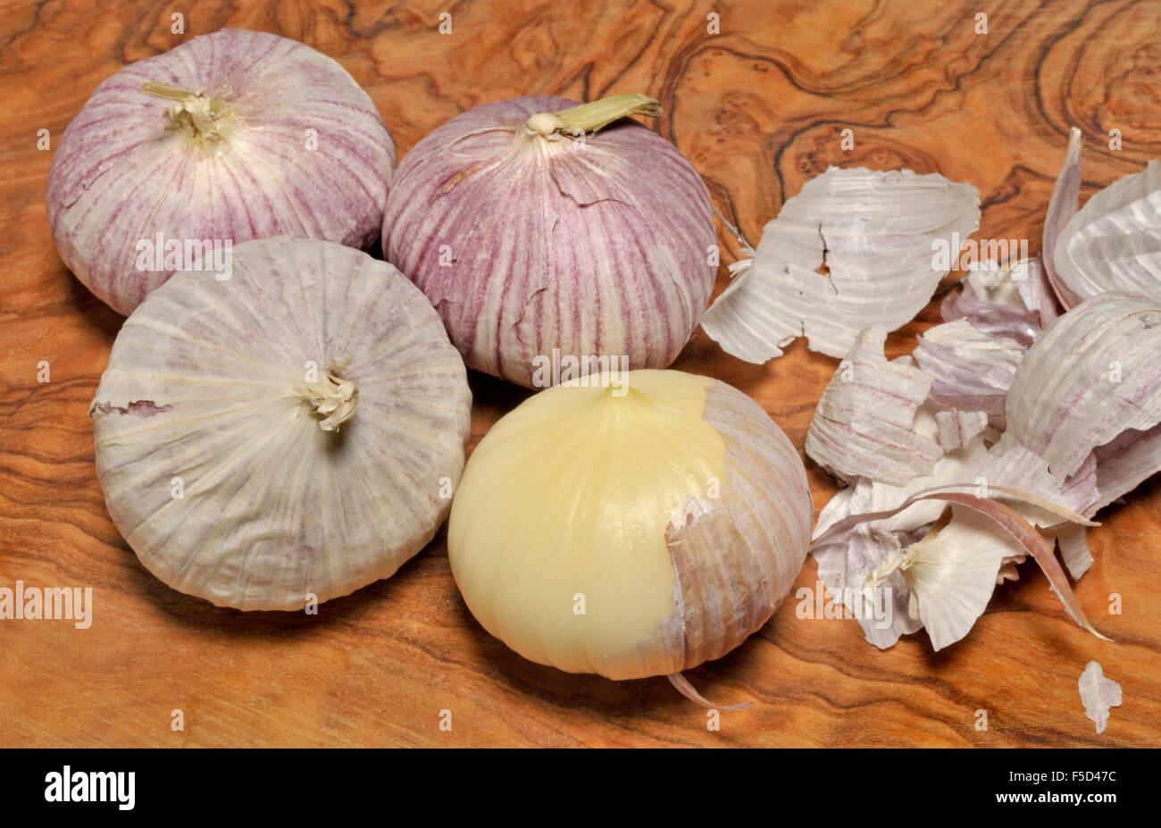 Lampadina singola aglio / Solo l'aglio (allium sativum) la lampadina non è suddiviso in spicchi ma una singola entità solido Foto Stock