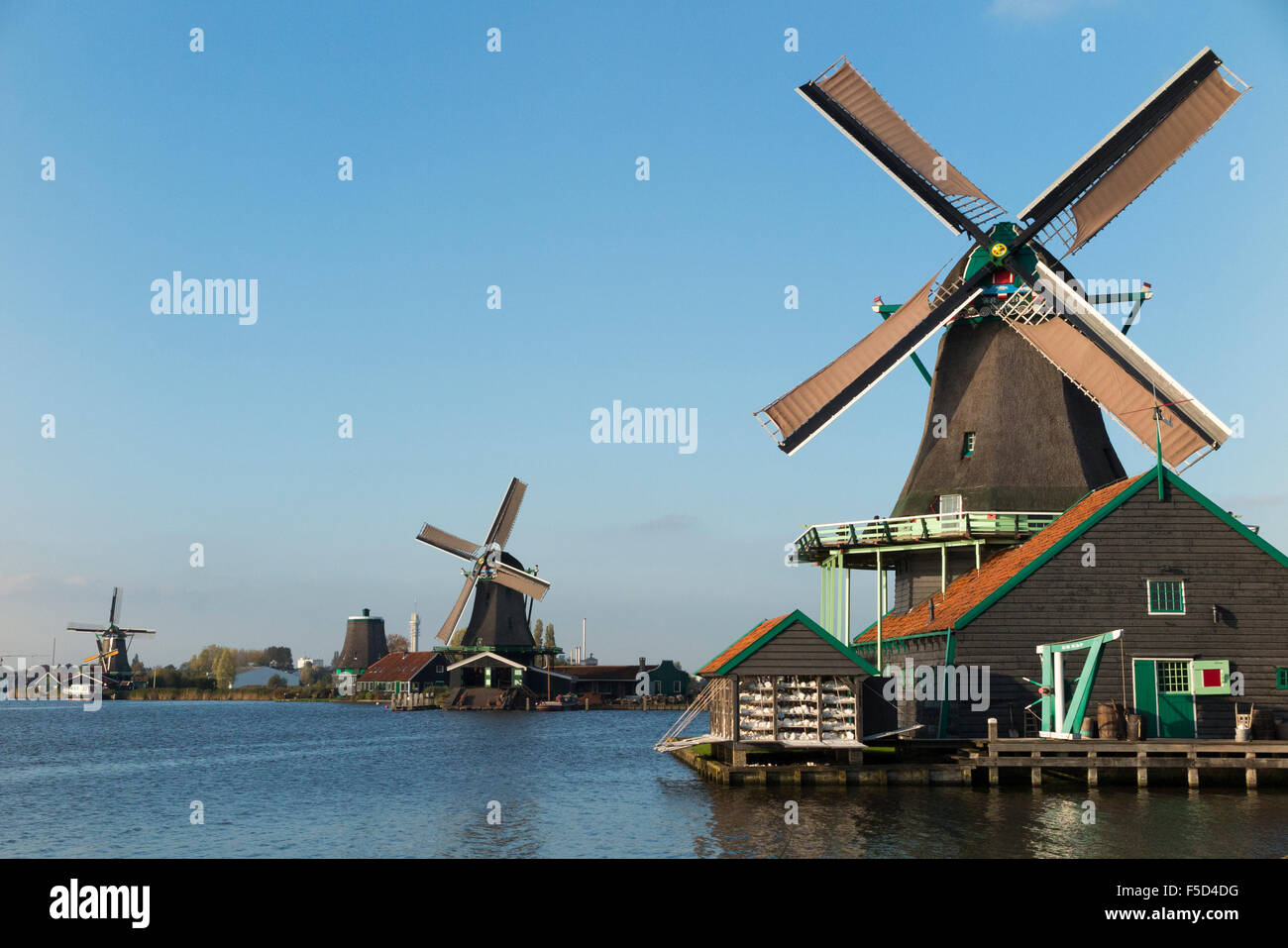De Kat paint mulino a vento olandese (più vicino alla telecamera) / mulini a vento / mulini a vento / mulini a vento di Zaanse Schans, Holland, Paesi Bassi. Cielo blu cielo soleggiato Foto Stock