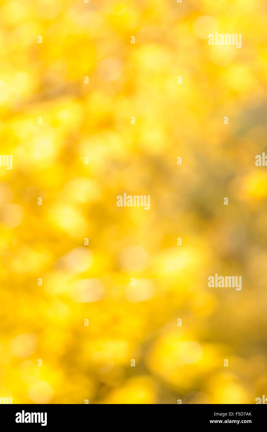 Sfocata colorato sfocati sullo sfondo di caduta Foto Stock