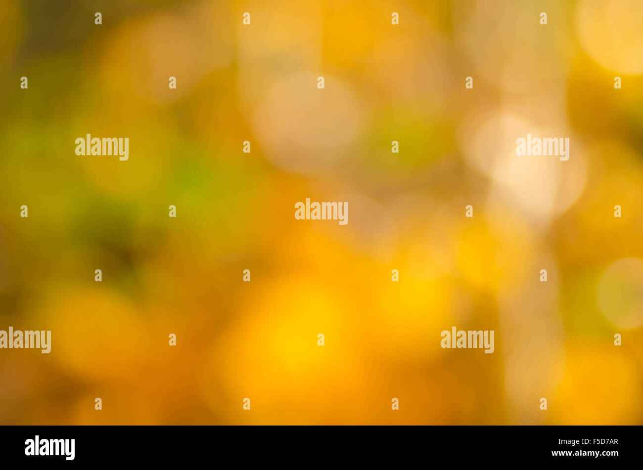 Sfocata colorato sfocati sullo sfondo di caduta Foto Stock