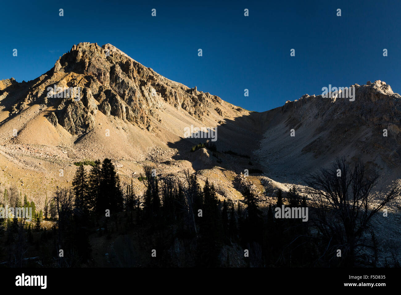 Alpine picchi di montagna del Gros Ventre montagne, Gros Ventre deserto, Wyoming Foto Stock