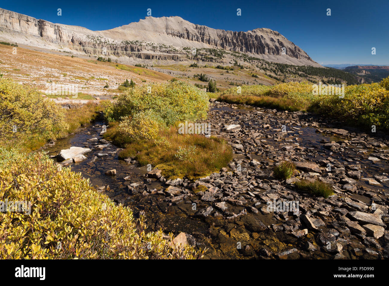 Un torrente che scorre verso le sorgenti del Gros Ventre River, Gros Ventre deserto, Wyoming Foto Stock