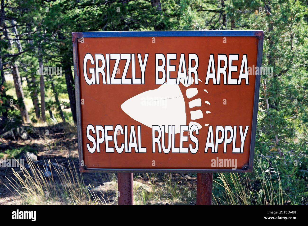 Un segno in un campeggio lungo la forcella del nord del fiume Shoshone in Wyoming, avviso ai partecipanti di essere consapevole del fatto che vi sono grizzly Foto Stock