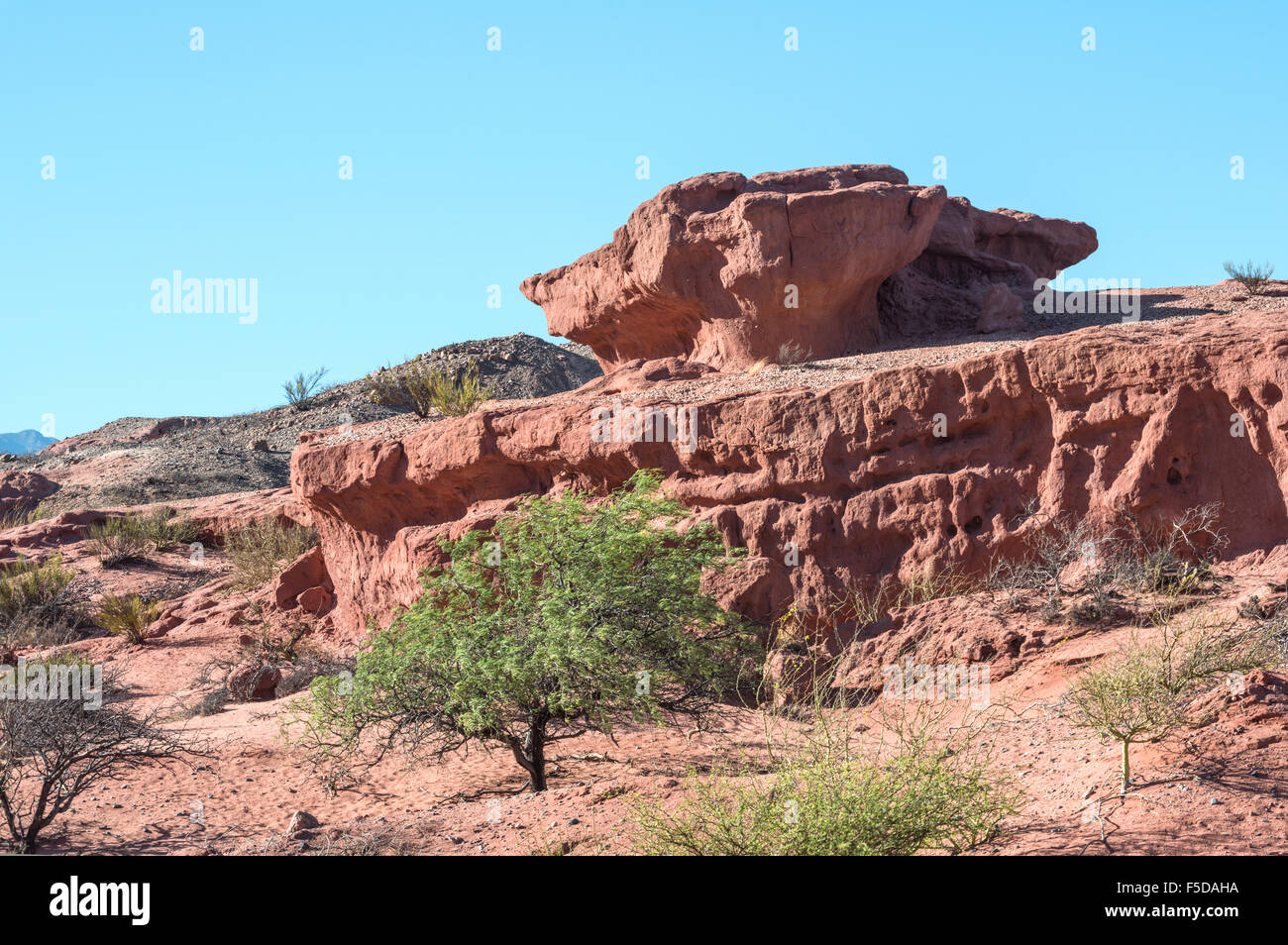 Quebrada de Cafayate, Salta, Argentina Foto Stock