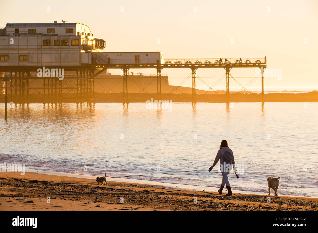 Aberystwyth, Wales, Regno Unito. 02 Novembre, 2015. Una donna che cammina i suoi cani sulla spiaggia godendosi un altro giorno di cielo privo di nuvole e sole ininterrotta sul mare di Aberystwyth west wales. La temperatura oggi ha raggiunto un massimo di 21.7ºC, poco il set di record di ieri per un giorno di novembre nel Regno Unito foto Keith Morris / Alamy Live news Foto Stock